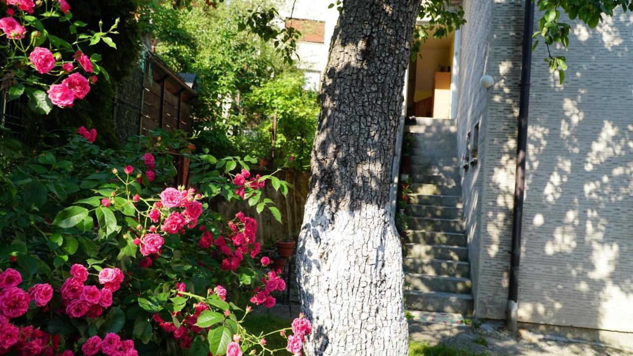 Hedgehog'S Home - Jezeva Kucica Free Parking Sarajevo Bagian luar foto