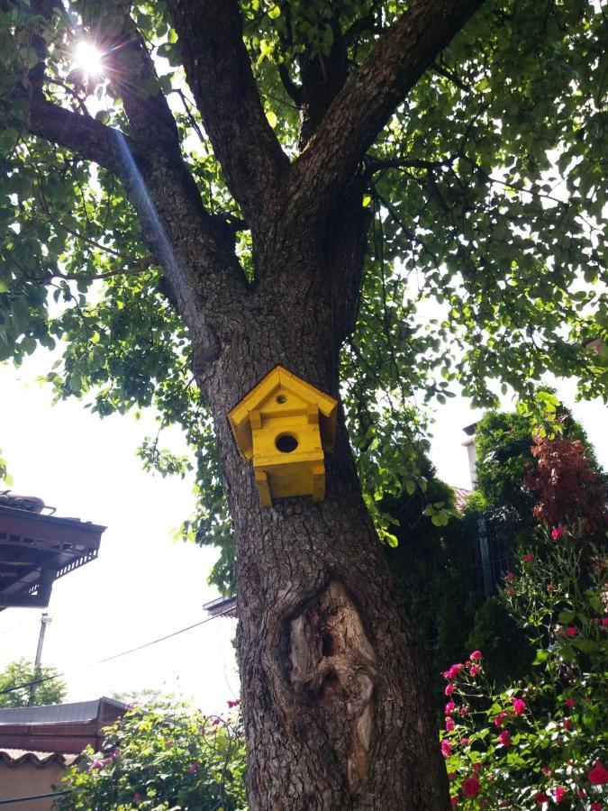 Hedgehog'S Home - Jezeva Kucica Free Parking Sarajevo Bagian luar foto