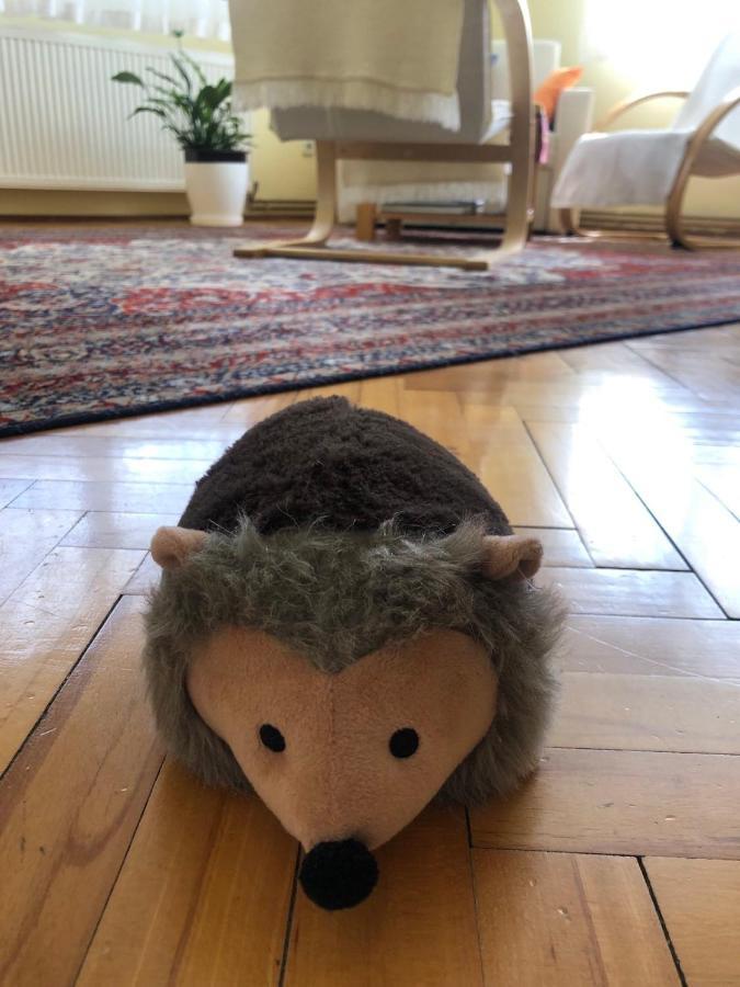 Hedgehog'S Home - Jezeva Kucica Free Parking Sarajevo Bagian luar foto
